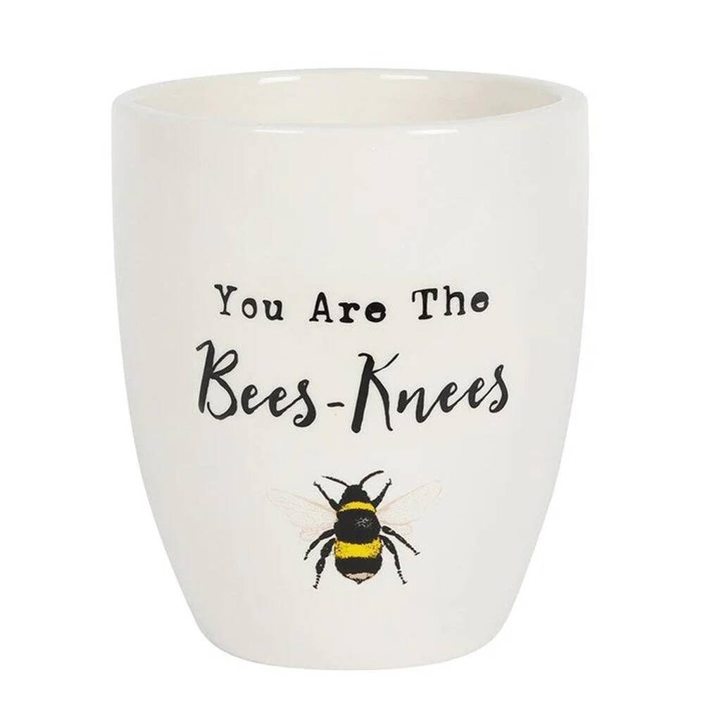 You Are The Bees Knees Ceramic Planter By Penny Rose Home & Gifts