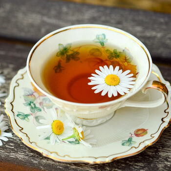 Gardening Gift. Grow Your Own Chamomile Tea, 3 of 5