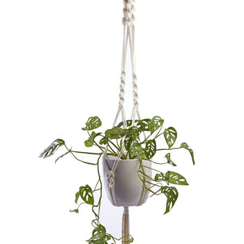 Large Recycled Macramé Plant Hanger, 2 of 3
