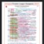 Liverpool 2025 League Champions Commentary Sheet, thumbnail 3 of 3