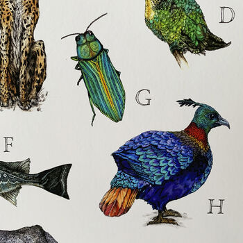 Limited Edition 'Vulnerable Species' Alphabet Print, 8 of 12