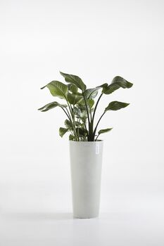 Ecopots Amsterdam High Pot Made From Recycled Plastic By Circular&Co.
