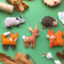 Sew Your Own Woodland Friends Garland Felt Sewing Kit, thumbnail 1 of 12