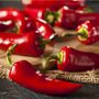 Chilli Plant 'Ponky Pepper Spicy Jane', thumbnail 3 of 5