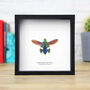 Gratiosa Banded Jewel Beetle Insect Bug Entomology Taxidermy Box Frame, thumbnail 1 of 3