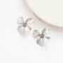 Silver Colour Hand Painted Flower Shaped Stud Earrings, thumbnail 3 of 3