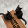 'I Hope You Like Cats' Coir Doormat, thumbnail 2 of 4