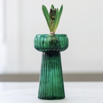 Rich Green Ribbed Hyacinth Vase, 5 of 5