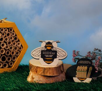 Plantable Wildflower Bee Seedsticks 10 Pack, 2 of 6