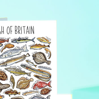 Sea Fish Of Britain Greeting Card, 7 of 7