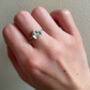 Sterling Silver Mini Holly Well Done Necklace, thumbnail 4 of 12