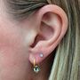'The Octahedron' Dalmatian Jasper Gold Plated Earrings, thumbnail 2 of 5