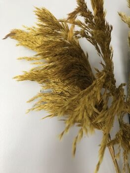 Dried Yellow Pampas Grass Bunch, 3 of 4
