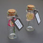 Tiny Bottle Of Blossom With Personalised Message, thumbnail 2 of 10