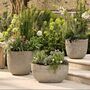 Cranford Oval Ficonstone Garden Planter, thumbnail 2 of 6