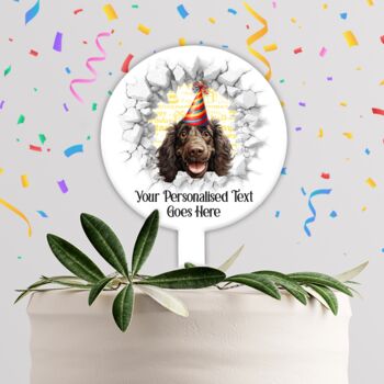 Personalised Boykin Spaniel Birthday Break Through Dog, 3 of 8