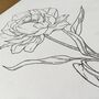 Hand Illustrated Peony Flower Print, thumbnail 4 of 7