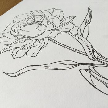 Hand Illustrated Peony Flower Print, 4 of 7