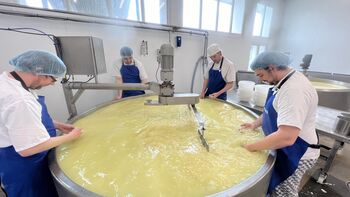 Experience Day, How To Make Cheese In Bath, 5 of 8