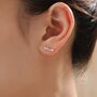 Trout Fish Stud Earrings In Sterling Silver, thumbnail 2 of 12