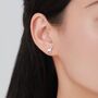 Sterling Silver Tiny Okapi Stud Earrings, thumbnail 3 of 12