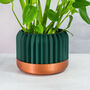 Forest Trilinear Planter, thumbnail 1 of 4