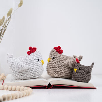 The Hen And Chick Beginner Knitting Kit, 4 of 12