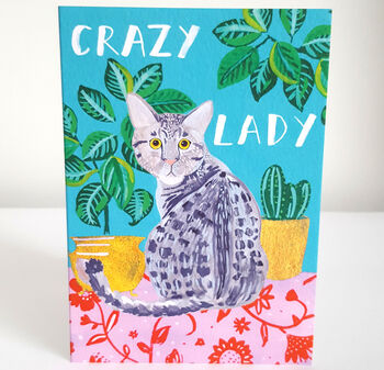 Crazy Cat Lady Greetings Card, 5 of 6