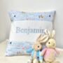 Blue Farmyard Name Cushion, thumbnail 3 of 7