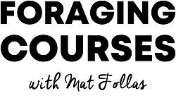 Foraging Courses With Mat Follas