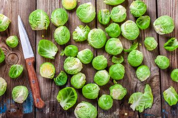 Brussels Sprouts Plants 'Brigitte' Plug Plants, 3 of 8