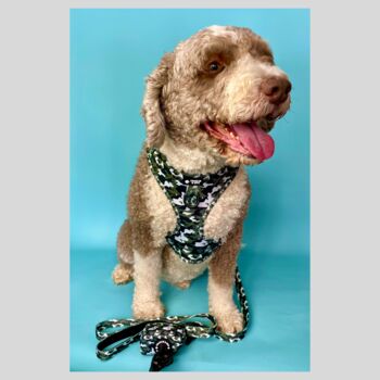 Camouflage Dog Lead/Leash, 5 of 6