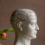 Large Antiqued Phrenology Head, thumbnail 3 of 5