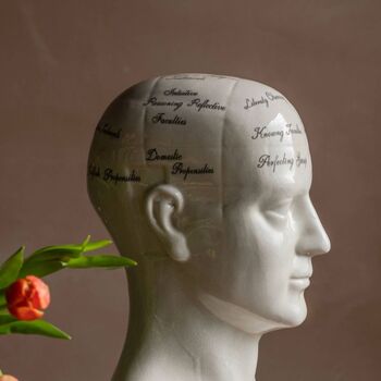 Large Antiqued Phrenology Head, 3 of 5