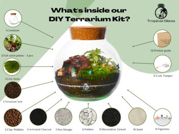 Round Diy Terrarium Kit 'Greenfield' | Kids Terrarium, 3 of 7