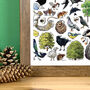 Town Wildlife Of Britain Wildlife Print, thumbnail 8 of 9