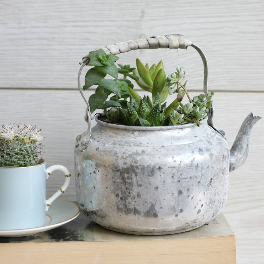 aged metal teapot planter by magpie living