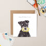 Schnauzer With Star Beard Birthday Card, thumbnail 1 of 2