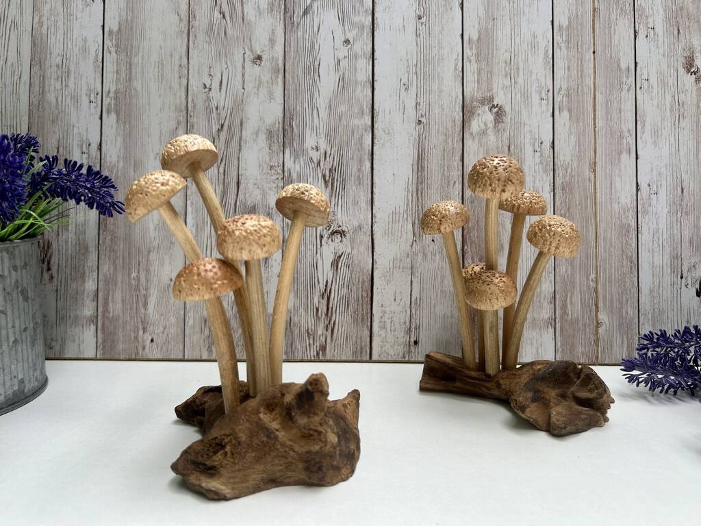 Assorted Wooden Mushroom Forest On Teak Root Wood, 1 of 12