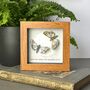 Personalised Two Moths And Moon Artwork, thumbnail 2 of 10