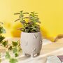 Mini Cement Bee Planter Plant Pot Birthday Gift, thumbnail 1 of 3
