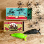 Matchbox Of Spiders Or Slugs Children's Gift, thumbnail 1 of 3