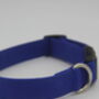 Bright Blue Dog Collar, thumbnail 11 of 12