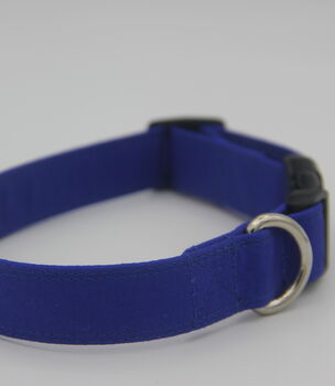 Bright Blue Dog Collar, 11 of 12