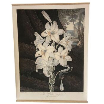 Canvas Wall Hanging The White Lily, 3 of 3