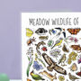 Meadow Wildlife Of Britain Greeting Card, thumbnail 4 of 8