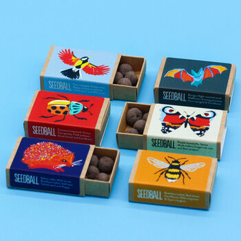 Wildflower Seeds For Garden Wildlife Collection, 5 of 12