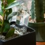Water Your Plant From A Crystal, thumbnail 2 of 4