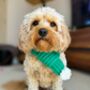 Knitted Pet Scarf, thumbnail 9 of 9