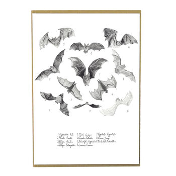 Chiroptera Bat Art Print, 3 of 7
